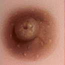 Dark Brown Areola