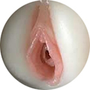 #1 Labia Color