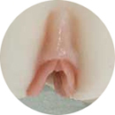 #2 Labia Color