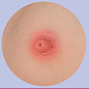 Light Pink Areola