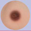 Dark Brown Areola