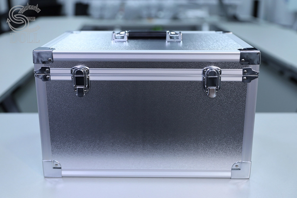 SE X-Bot AI Head