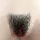 #1 Pubic Hair