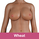 Wheat Skins