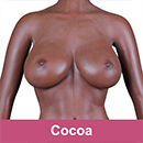 Cocoa Skins