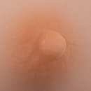 #6 Areola Color