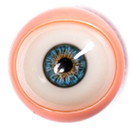 Movable Eyes #4 Eyes