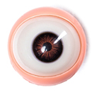 Movable Eyes #5 Eyes