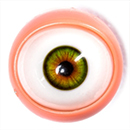 Movable Eyes #6 Eyes