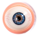 Movable Eyes #7 Eyes