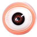 Movable Eyes #8 Eyes