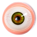 Movable Eyes #9 Eyes