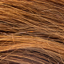 Light Brown Hair