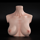 Torso Stand