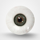Grey-Green Eyes With Veins