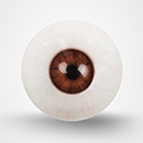 Light Brown Eyes With Veins