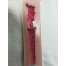 #1 18 cm (7.1 in) Vaginal Style