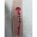 #2 14 cm (5.5 in) Vaginal Style