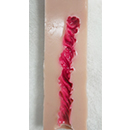 #8 12.5 cm (4.9 in) Vaginal Style