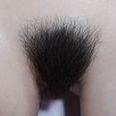 #2 Pubic Hair