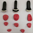 Normal Teeth & Tongue Set(+$65) Tongue Typea