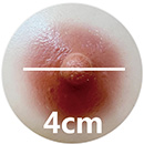 4cm Areola Size