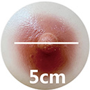 5cm Areola Size