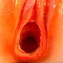 Double Layer Vagina Vaginas