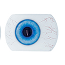 #10 Eyess