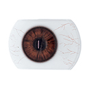 #5 Eyess