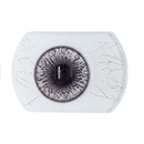#6 Eyess