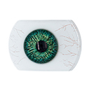 #7 Eyess