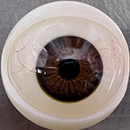 Movable Eyes #2 Eyess