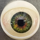 Movable Eyes #3 Eyess