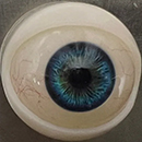 Movable Eyes #4 Eyess