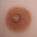Dark Brown Areola