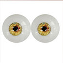 #1 Eyess