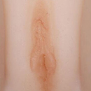 Light Brown Labia Colora