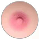 Pink Areola