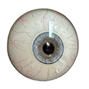 #12 Eyess
