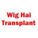 Wig Hair Transplant