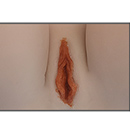 Light Brown Labia Colora