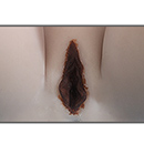 Dark Brown Labia Color