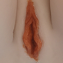 Light Brown Labia Colora