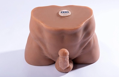 Sucking Anal Male Torso Sex Dolls with Heating Function